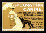 36th Exposition Canine de Briard