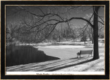 Heritage Pond in Winter