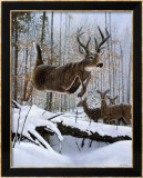 Leaping Deer