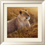 The African Queen
