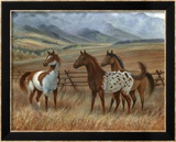 Appaloosa II