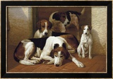 Foxhounds And A Terrier