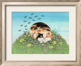 Cat-titude
