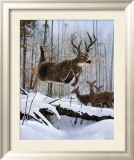 Leaping Deer