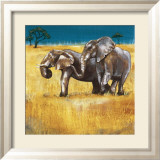 On the Plains IV