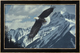 Wings over Winter