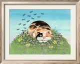 Cat-titude