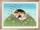 Cat-titude