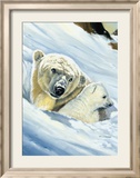Polar Bear Mama