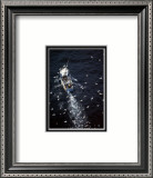 Fish in Sea