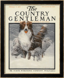 Herding Sheep  c1916