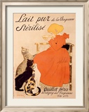 Lait Pur Sterilise Cats