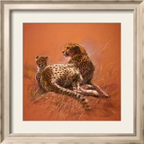Cheetah Mother