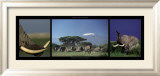 Elephants and Kilimanjaro