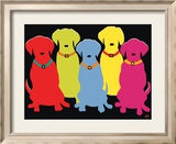 Five Labs