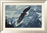 Wings over Winter