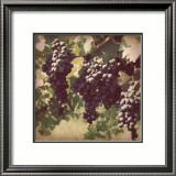 Vintage Grape Vines III