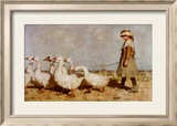 To Pastures New