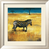On the Plains I
