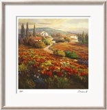 Poppy Fields