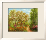 Waldweg in der Sonne