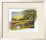 Summer at the Brook