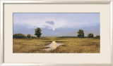 Evening on a Marsh