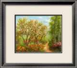 Waldweg in der Sonne