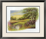 Summer at the Brook