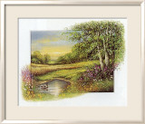 Summer at the Brook