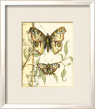 Tandem Butterflies I