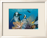Coral Garden and Dolphin