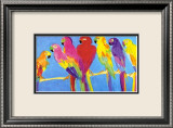 Parrots in Blue