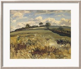 Withypool Landscape  Exmoor
