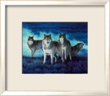 Wolf Group