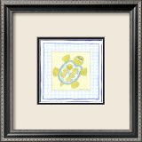 Turtle with Plaid IV