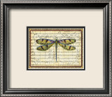Dragonfly Harmony I