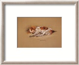 "Judy, a Spaniel Puppy" Pre-made-framed Framed Art Print