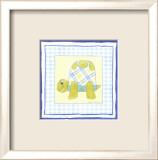 Turtle with Plaid III