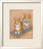 Corgis