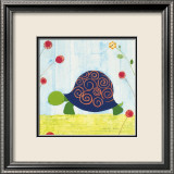 Mrs Turtle