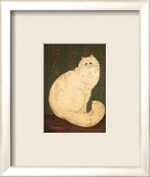 White Persian Cat
