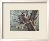 Silent Forest (Great Horned Owls)