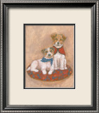 Jack Russell