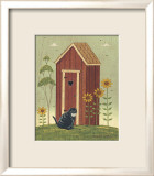 Outhouse with Cat