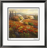 Poppy Fields