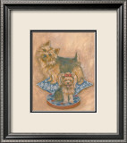 Terriers