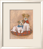Jack Russell