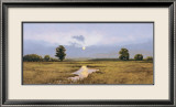 Evening on a Marsh