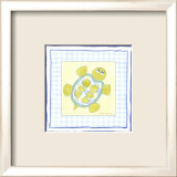 Turtle with Plaid IV